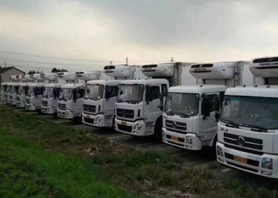 �Ϻ���������