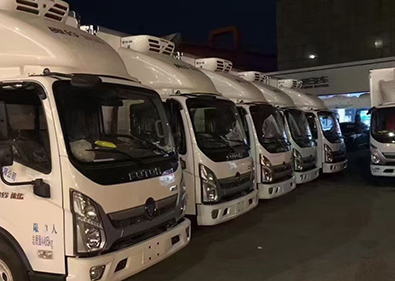 �Ϻ���������