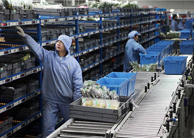 ���ݷּ����