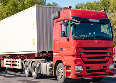 �Ϻ���������