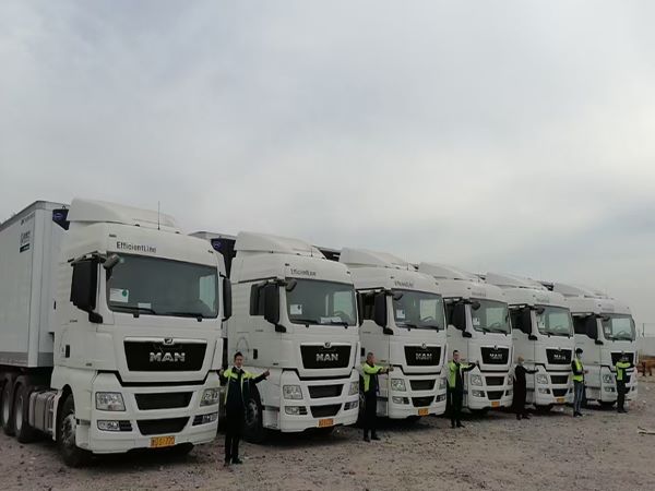 上海冷链运输 上海冷链运输