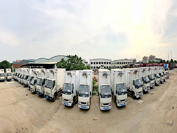 �Ϻ���������