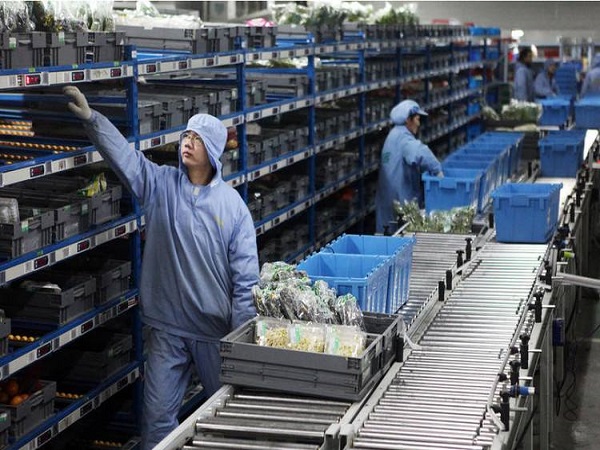 上海到杭州仓储冷链物流 上海到杭州仓储冷链物流