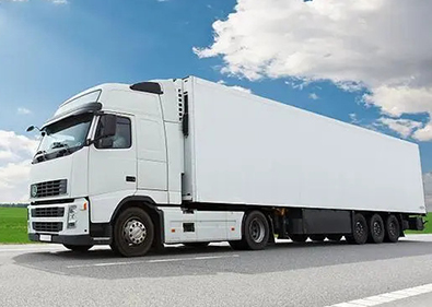 �Ϻ���������