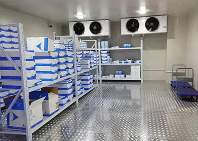 �Ϻ������ִ�