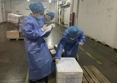 �Ϻ�����