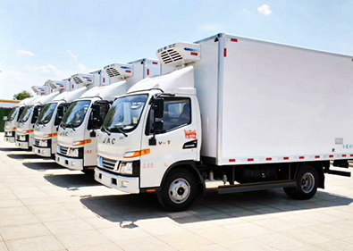 �Ϻ���������