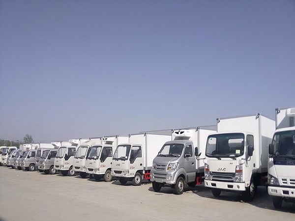 �Ϻ��������