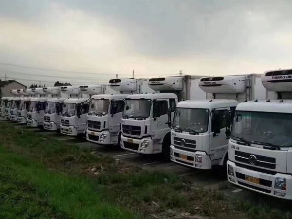 �Ϻ��������