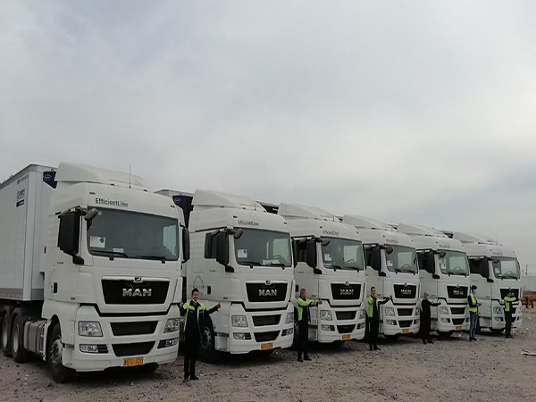 �Ϻ���������