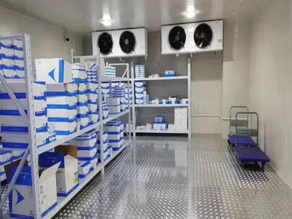 杭州到上海冷链物流 杭州到上海冷链物流