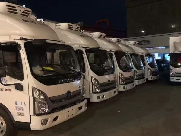 上海冷链运输 上海冷链运输